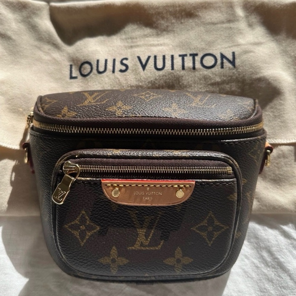 Louis Vuitton Monogram Brown Mini Bag